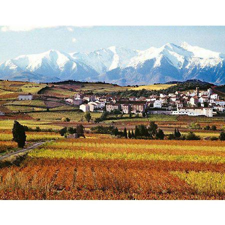 Montner Entre Mer Et Montagne المظهر الخارجي الصورة